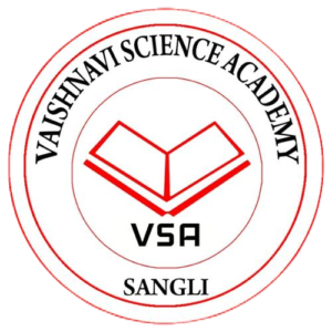 vsa logo